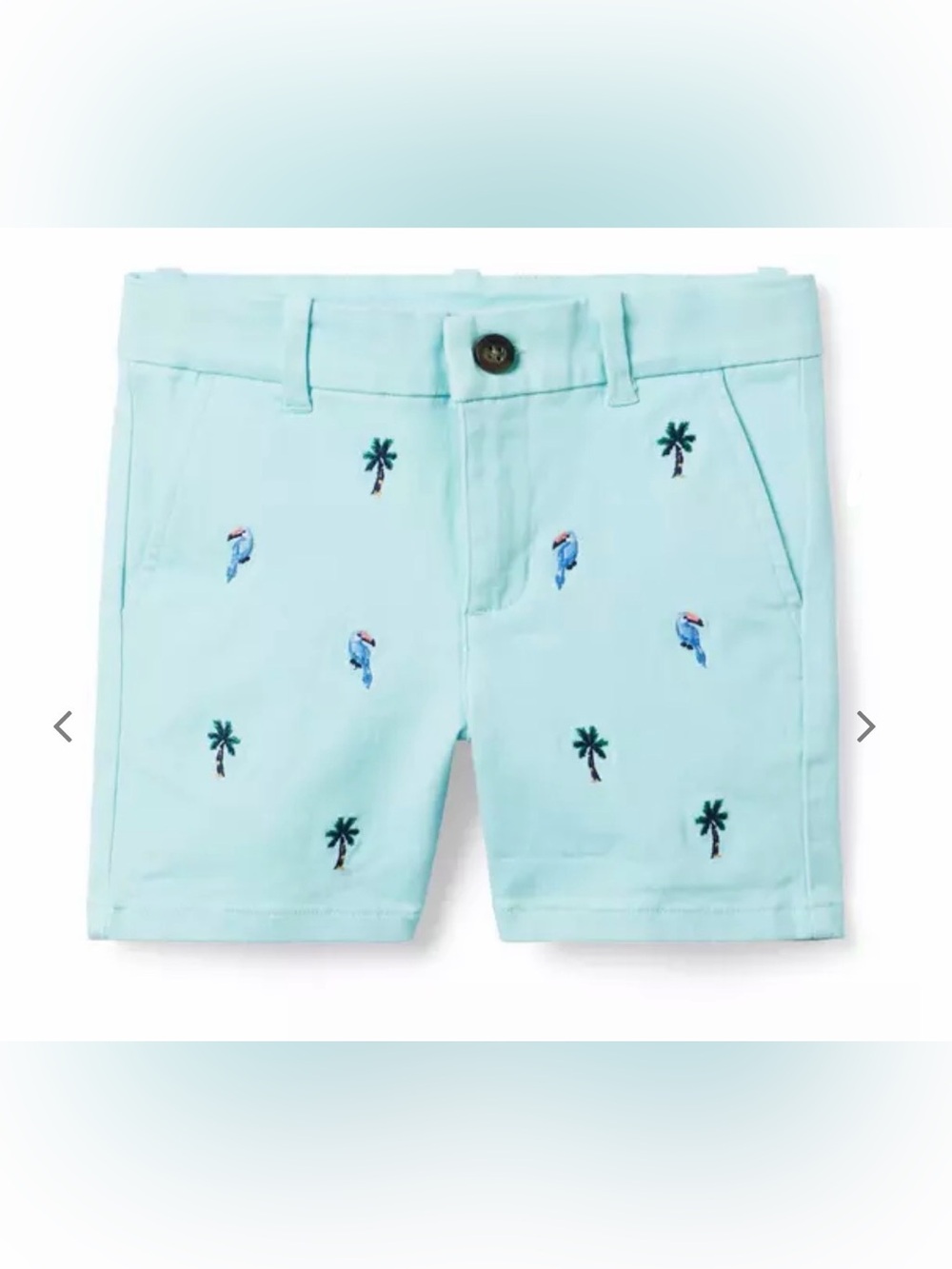 JANIE AND JACK Light Blue Shorts with Palm Embroidery